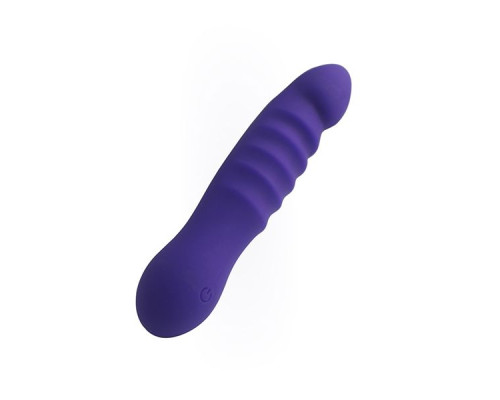 Фиолетовый вибратор LITTLE SECRET - 16,5 см.