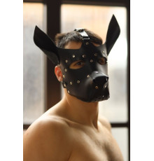 Эффектная маска собаки с металлическими заклепками