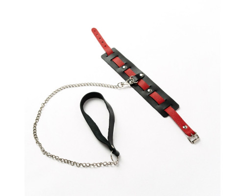 Черный ошейник с красным ремешком и поводком
