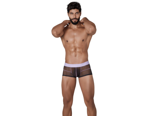 Черные сексуальные полупрозрачные трусы-хипсы Hunch Trunks